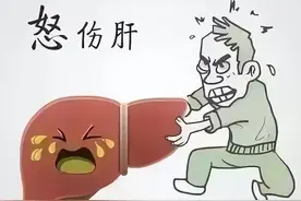 心脏：生命之泉，守护身体的不可或缺之源图片