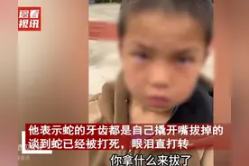 抓蛇拔牙当宠物的广西小男孩，心狠吗？他的眼泪暴露了脆弱和善良图片
