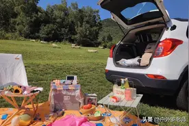 自驾游用电！户外移动电源和静音发电机，你选哪个？图片