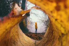 手机怎么拍出“画中画”效果？摄影高手总结，方法简单容易学图片