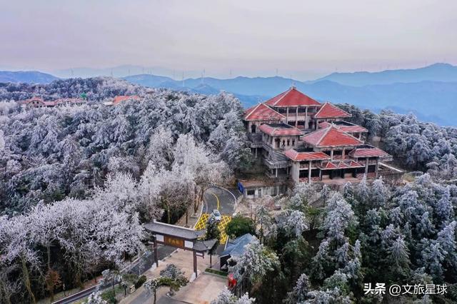 鸡公山入冬成“冰雪仙境”！雾凇压枝、冰挂垂帘