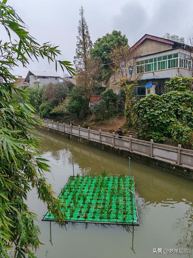 云梦生态浮岛的三重奏
