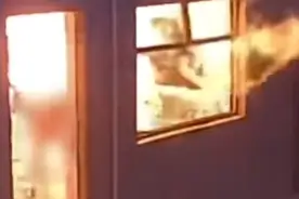 太难受了！厨房爆炸男子仍折返救妻，被救妻子至今不知丈夫已去世图片