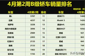 得B级车者得天下！最新销量排名：迈腾亚军，雅阁第8，Model 3第12图片