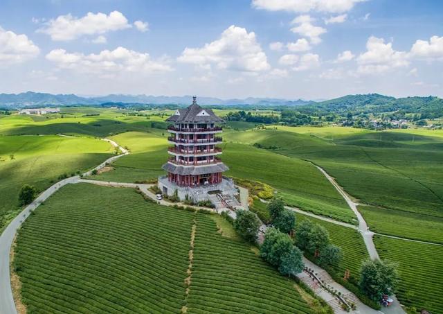 春假出逃计划 │ 从指尖绿意到星空露营，开启春日黔北茶韵之旅！