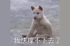 为什么中日韩都过得这么累？图片