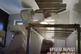 有家不敢回？杭州一业主家里发现蜂窝，无奈全家搬走图片