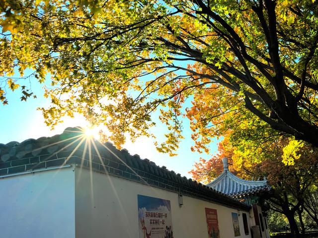 半烟火半诗意：潍坊园林的美，从不被定义