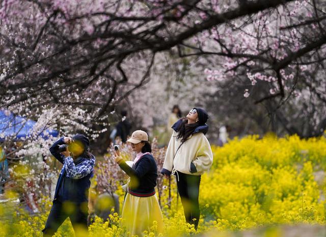 谱写传统与现代交融的华彩乐章——智库报告解析西藏的乡村发展与文化传承