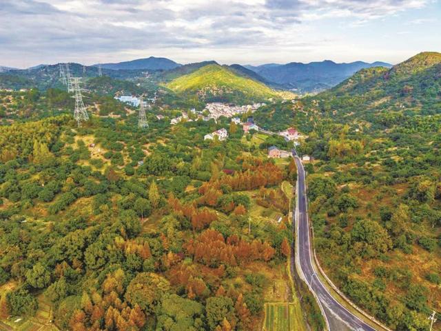 快来打卡吧！宁波8条农村精品路出炉