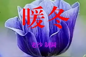 11.20股市早8点丨放绝招！或有限制机构砸盘的杀手锏出台！图片