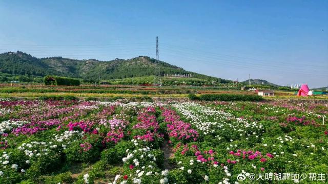 中医药、温泉、养生阿胶，济南的“康养密码”在这里！