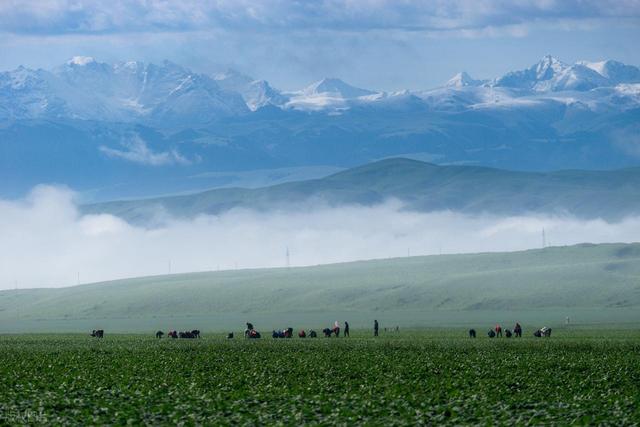 5月中旬-6月，错峰出行好时候，这6个目的地人少景美，气候清爽