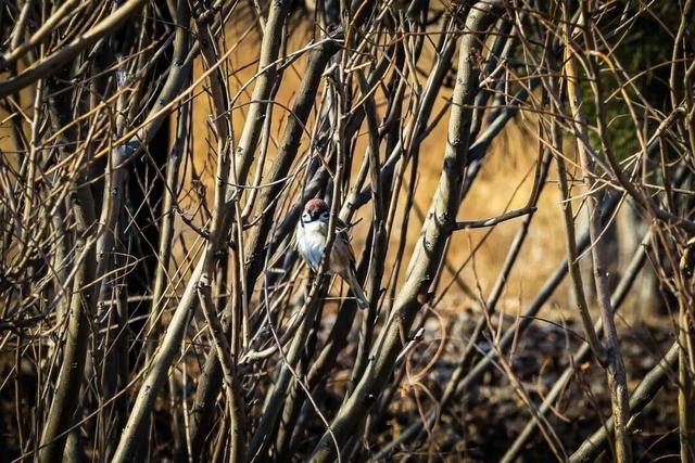 辽滨春色美景上线！邀您共赏~