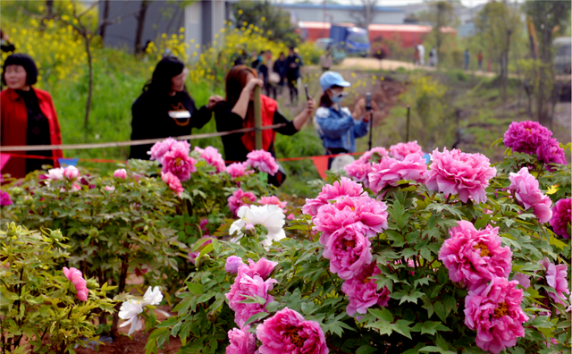 看不完，根本看不完！