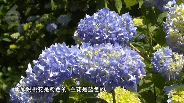 “Color Walk”火了！在昆明，用颜色解锁一座城