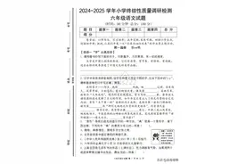 小升初（语文）期末终结性质量调研检测卷图片