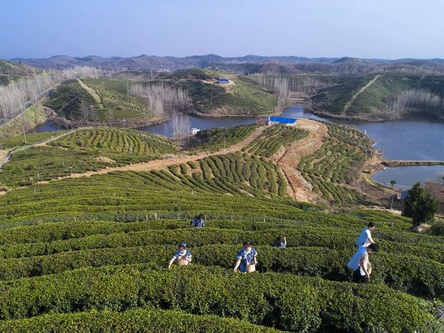 踏青赏春正当时！清明假期，随州各地优惠、活动汇总来了！