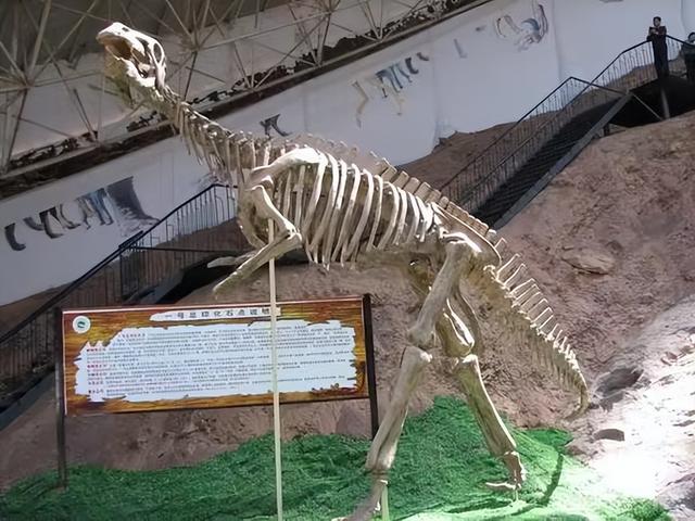 又踏甘肃地之三十三 金昌篇之三 金昌市博物馆（1）