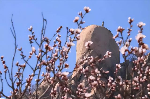 上春山！海淀这座山又到了最美的时候