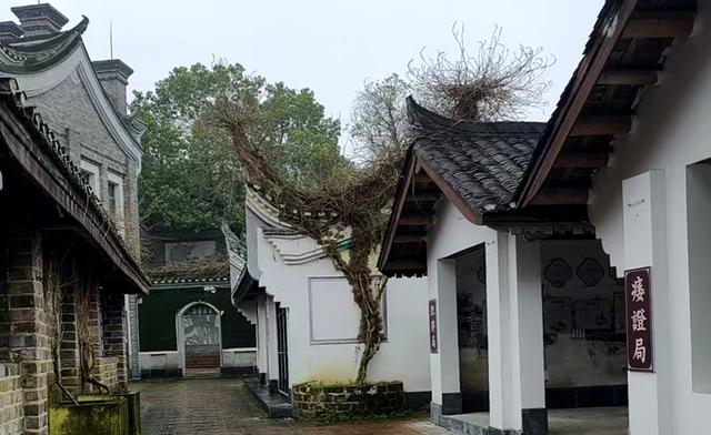 衡阳：珠晖区双水湾景区恢复收取门票