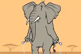 几乎都是零分！引体向上考试在高中大学基本都是零分，该取消了！图片