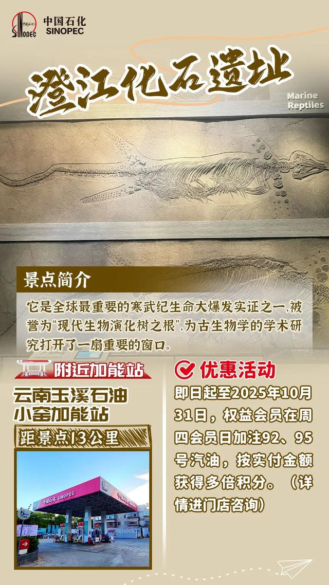 满200立减20！假期加油先领券！