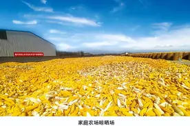 农业农村部《全国家庭农场典型案例（2023年）》选登 | 山东省高密市鹏兴家庭农场图片