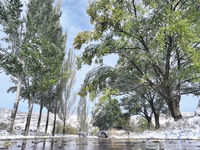 临洮秋天的雪，来啦！