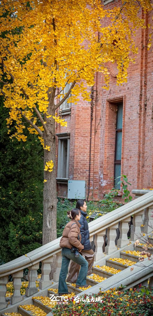 冬韵台儿庄，一键收藏古城的静谧时光