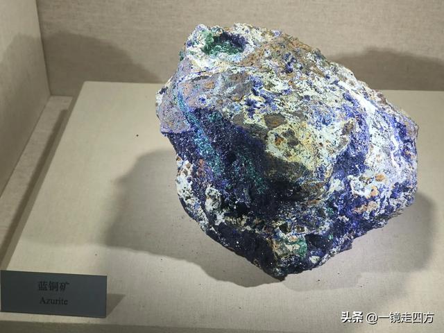 通化市自然博物馆
