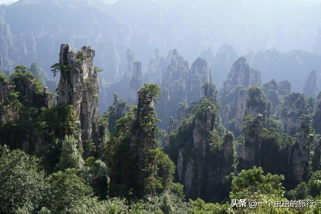 悬浮山实景！张家界天子山，阿凡达导演看了都直呼内行！