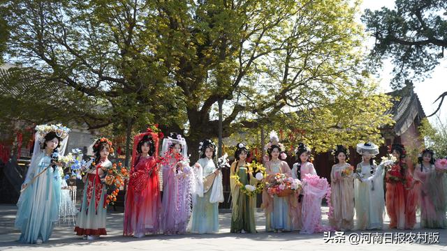 济源：花神下凡，惊艳王屋山