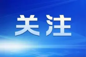 2025广州中考放榜！普高录取最低控制线487分图片