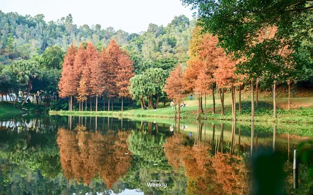 没人觉得龙岗的能量场很高吗？