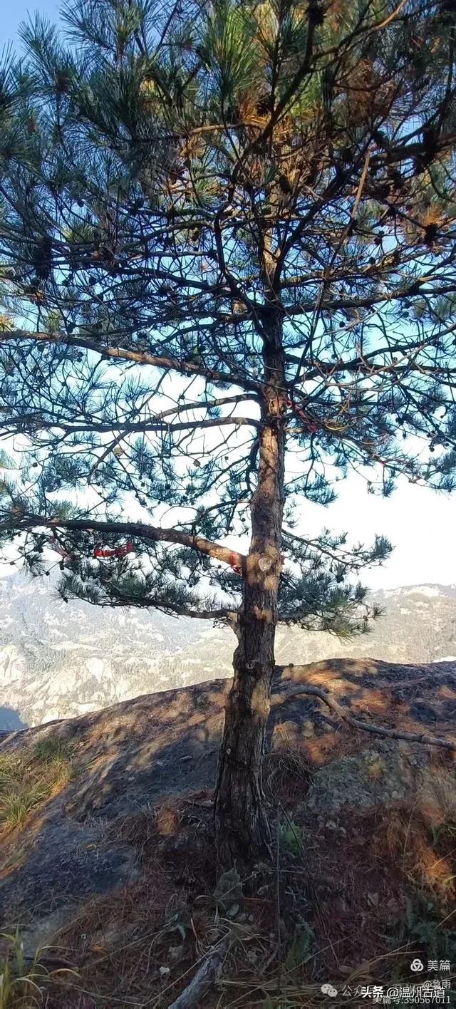 环浙步道上的小众穿越秘境,这条充满挑战的徒步环线你可去过?