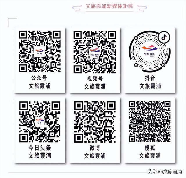 每日一村：茶岗村——茶香畲韵交融，山海间的文旅活力地