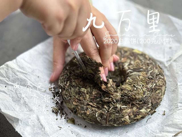 如何辨别老白茶的好坏？4个小技巧，学会了你也能成为高手