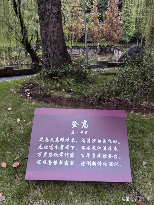 桂香袭来，在秀湖公园闻花香，读一读杜甫的诗，在亲水步道走一走