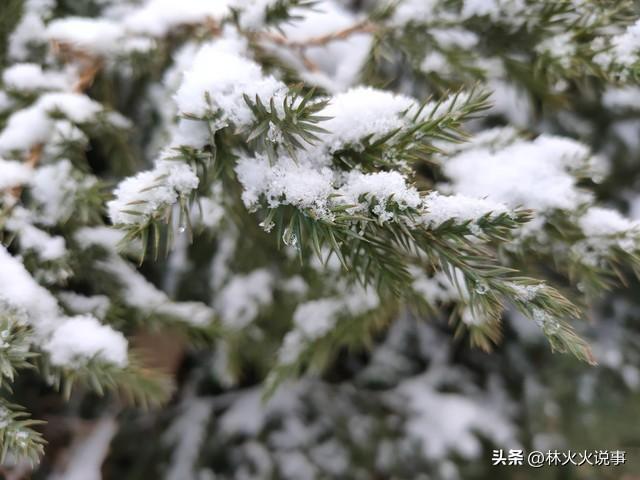 明日立冬，再忙也要记得：1不洗，2不吃，3不穿，4不碰，安康入冬