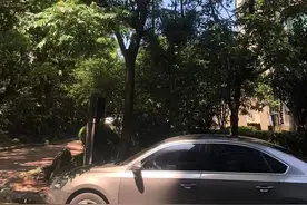 太恶心！街头这些不明粘液是啥？很多人都踩到了，网友：根本擦不干净图片