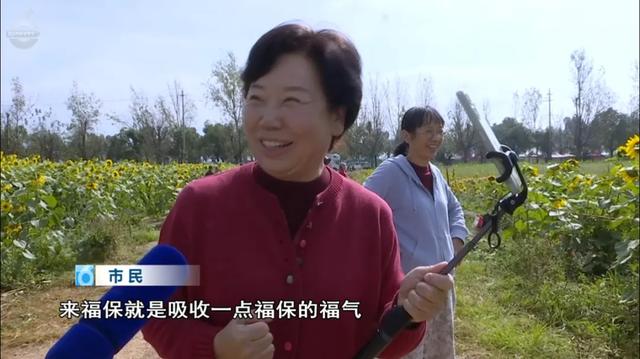 快码住!这里藏着秋日童话世界,出片率100%