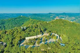 一片绿色山林的生态奇迹图片