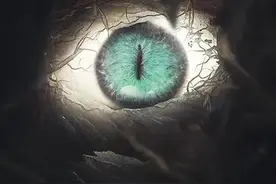 网络上的探灵主播是真是假？就不怕犯忌讳吗？图片