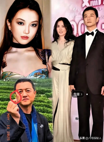 王菲也没想到，自己辛辛苦苦养大的李嫣，竟给李亚鹏做了“嫁衣”