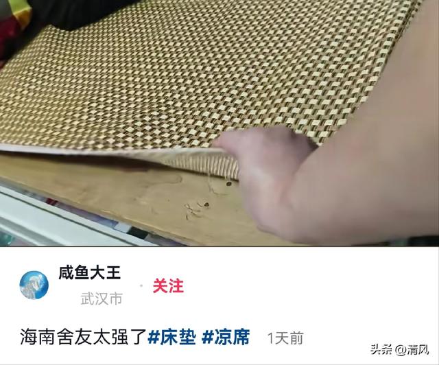 笑麻！原来华南F3从没吃过细糠，北方人跪了