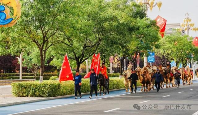 谁懂啊！康巴什街头惊现驼队