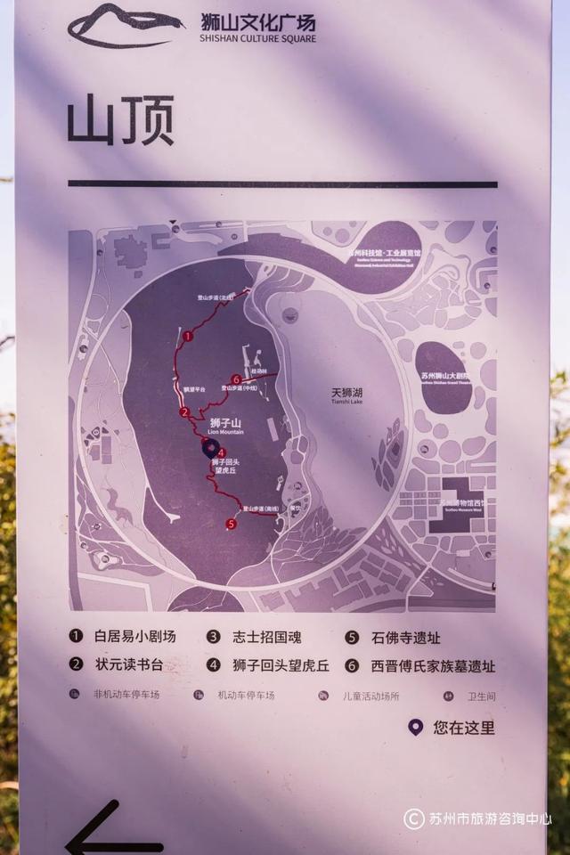 从狮子山到博物馆，苏州人“晨”会玩