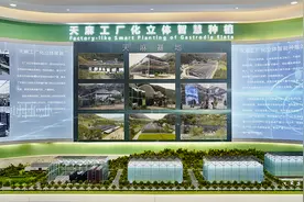 高质量发展看汉中 | 天麻之城：略阳示范园展现中药材的未来之路图片