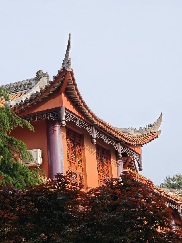 重庆铁山坪森林公园轻徒步路线